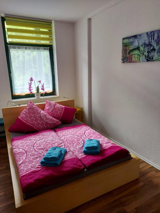 Ferienwohnung Eddi Reichenbach im Vogtland Eksteriør bilde